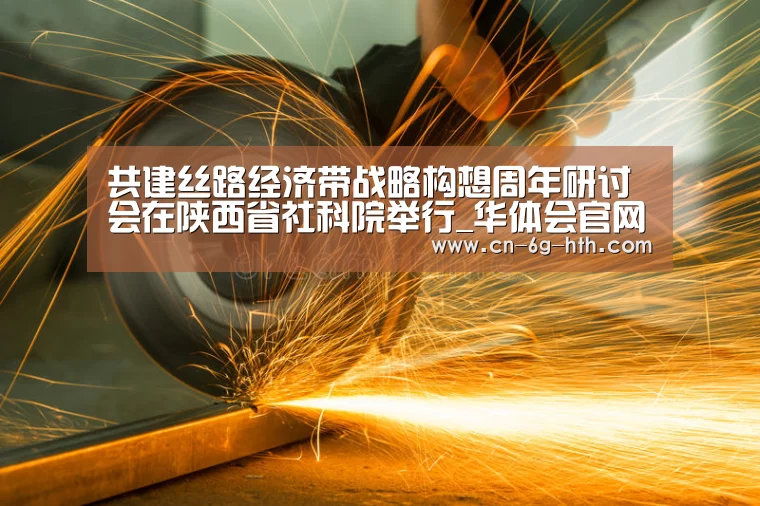 共建丝路经济带战略构想周年研讨会在陕西省社科院举行_华体会官网下载(图3) 华体会官网下载
